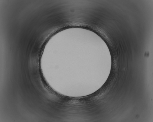X0000091680534200708231110