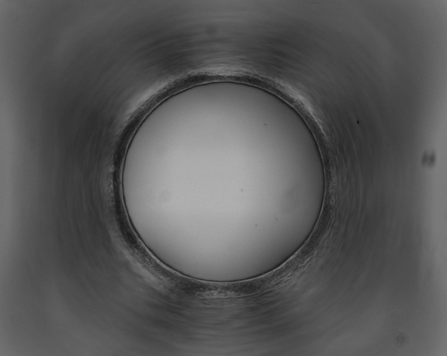 X0000091680535200708231110
