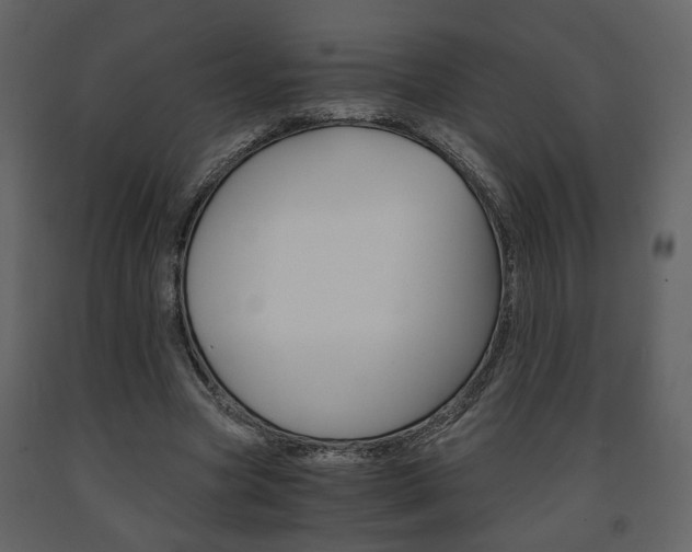 X0000091680537200708231110