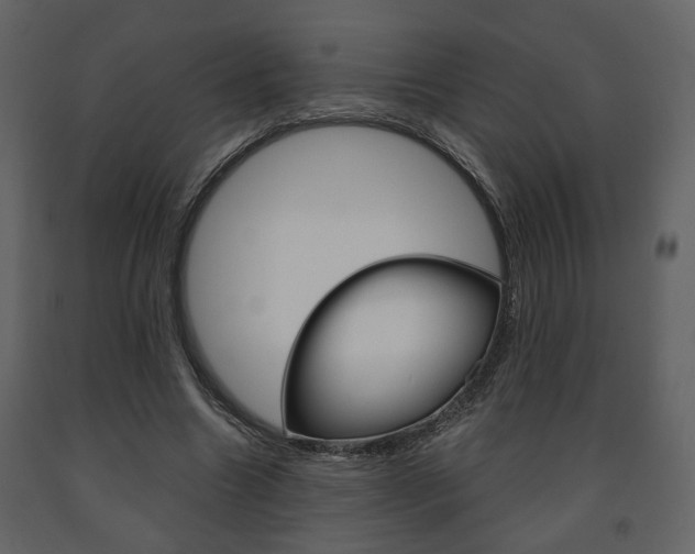 X0000091680538200708231110