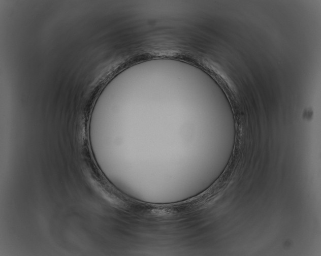 X0000091680541200708231110