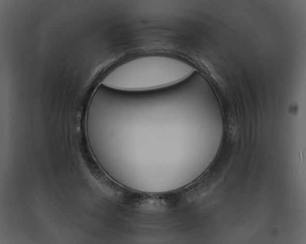 X0000091680543200708231110