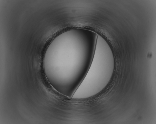 X0000091680544200708231110