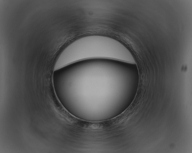 X0000091680546200708231110