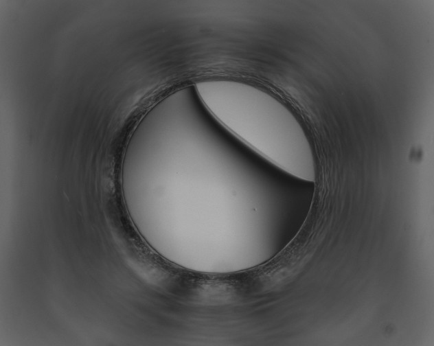 X0000091680547200708231110