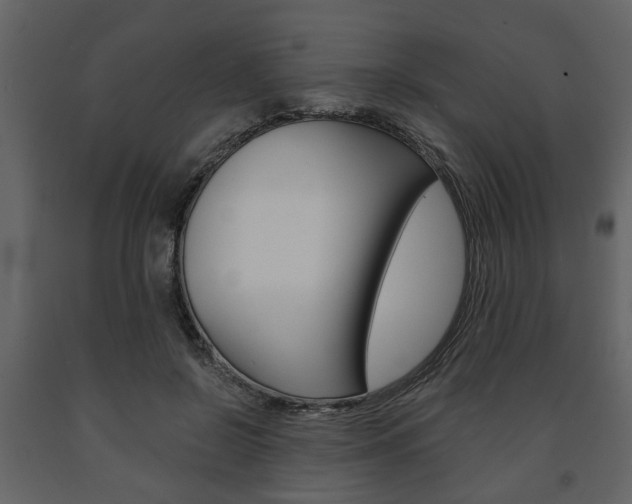 X0000091680550200708231110