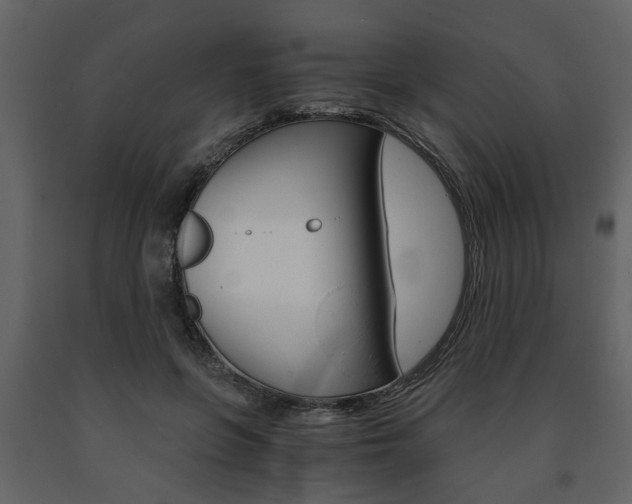 X0000091680551200708231110