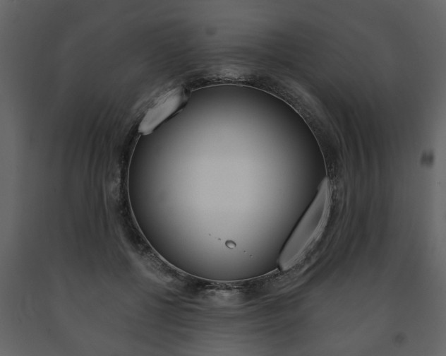 X0000091680552200708231110