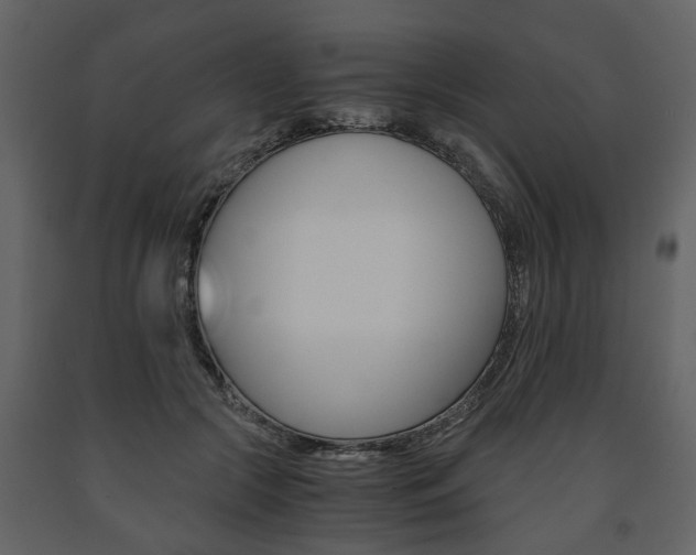 X0000091680553200708231110