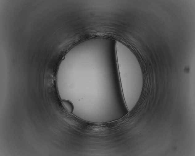 X0000091680555200708231110