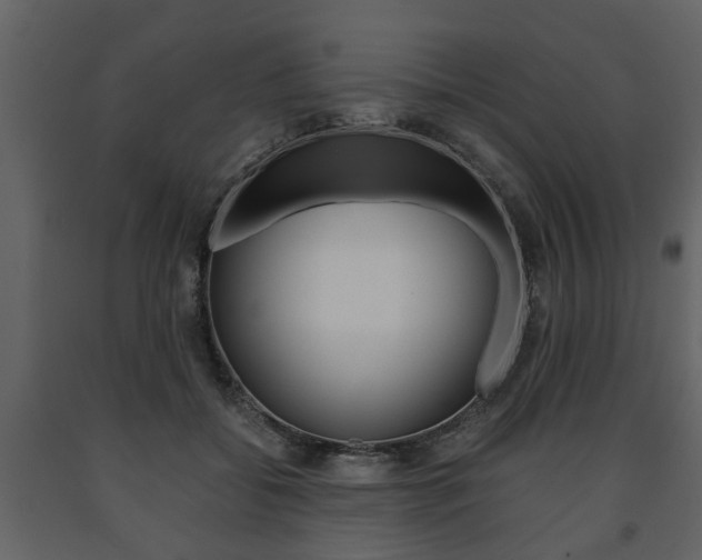 X0000091680556200708231110