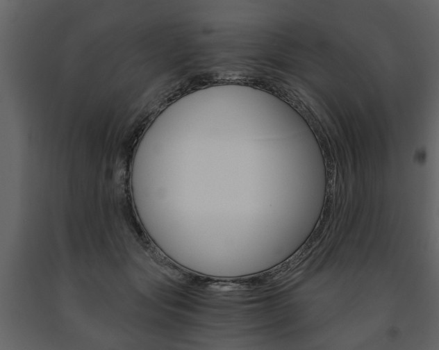 X0000091680557200708231110
