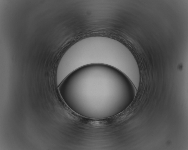 X0000091680558200708231110