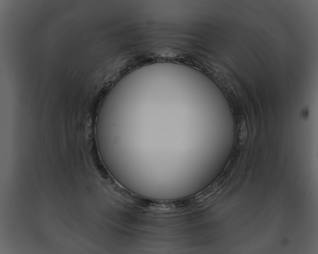 X0000091680559200708231110