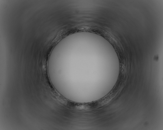 X0000091680561200708231110