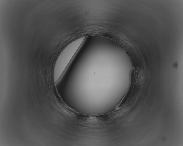 X0000091680562200708231110