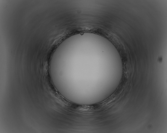 X0000091680563200708231110