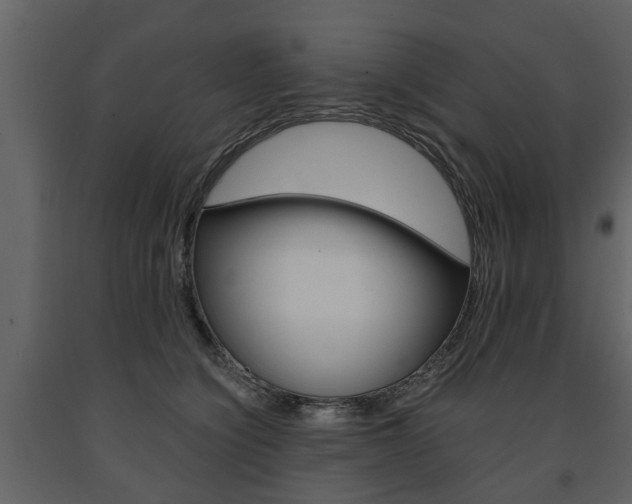 X0000091680564200708231110