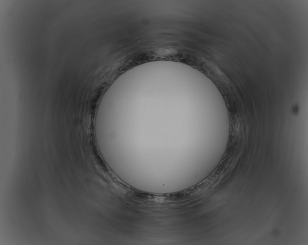 X0000091680565200708231110