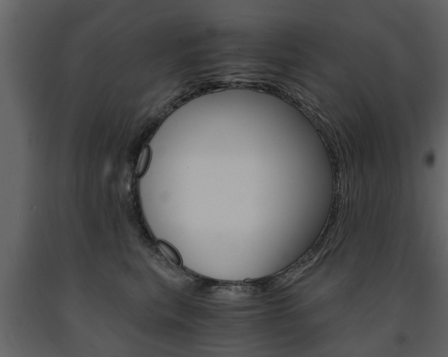 X0000091680567200708231110