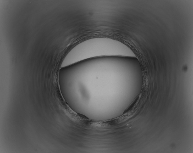 X0000091680568200708231110