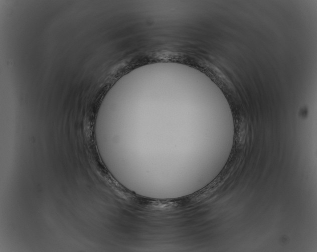 X0000091680569200708231110