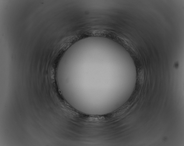 X0000091680571200708231111