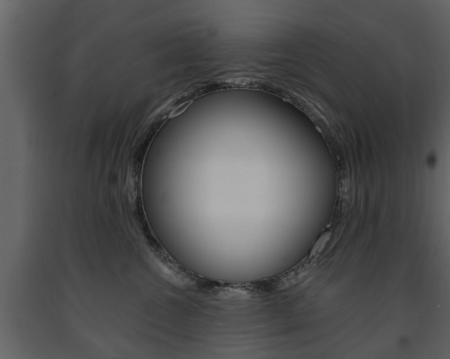 X0000091680572200708231111