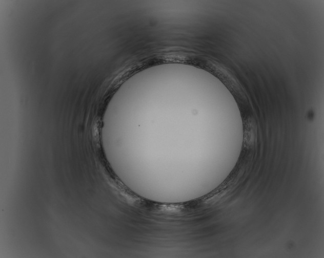 X0000091680573200708231111