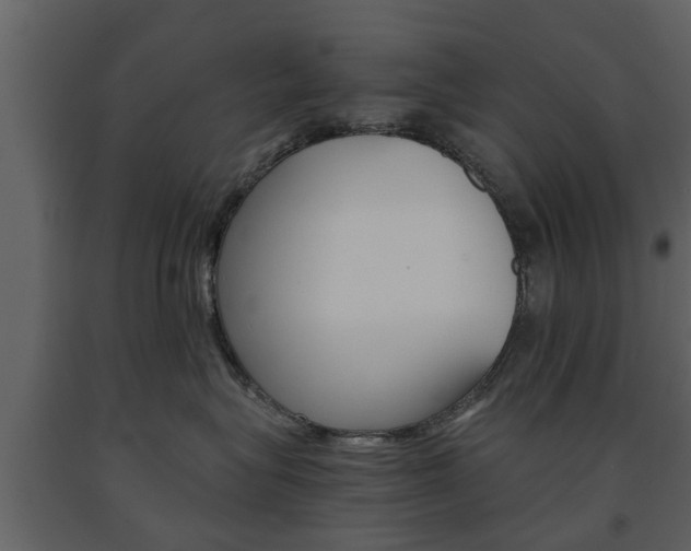 X0000091680575200708231111