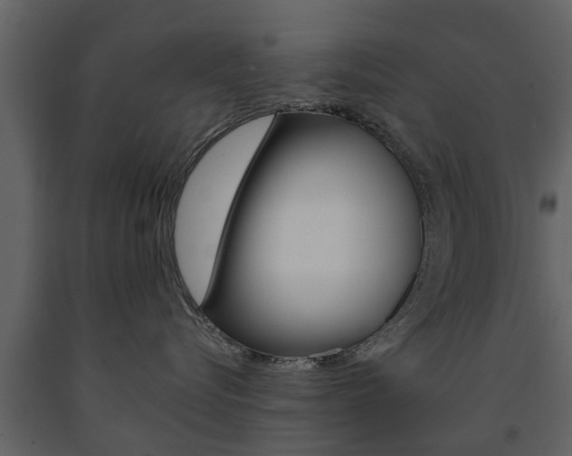 X0000091680576200708231111