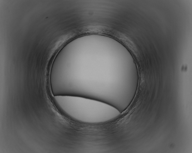 X0000091680578200708231110