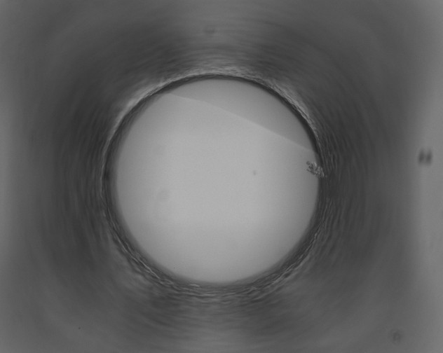 X0000091680579200708231110