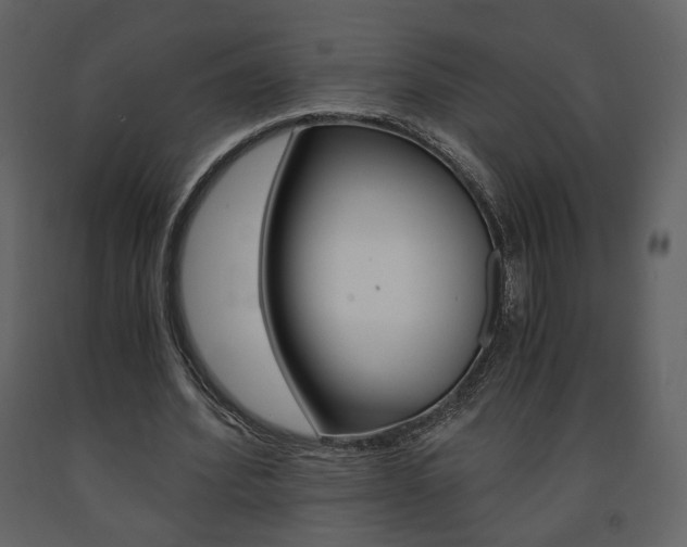X0000091680580200708231110