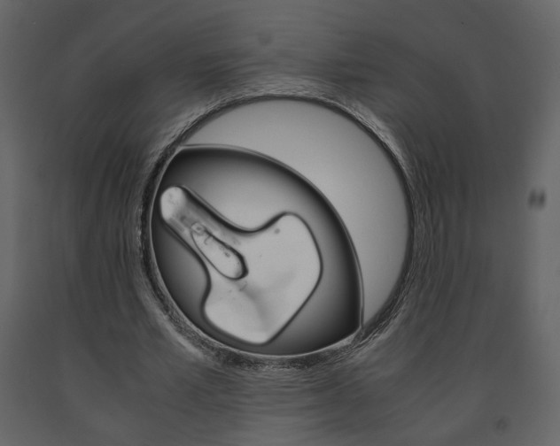X0000091680581200708231110