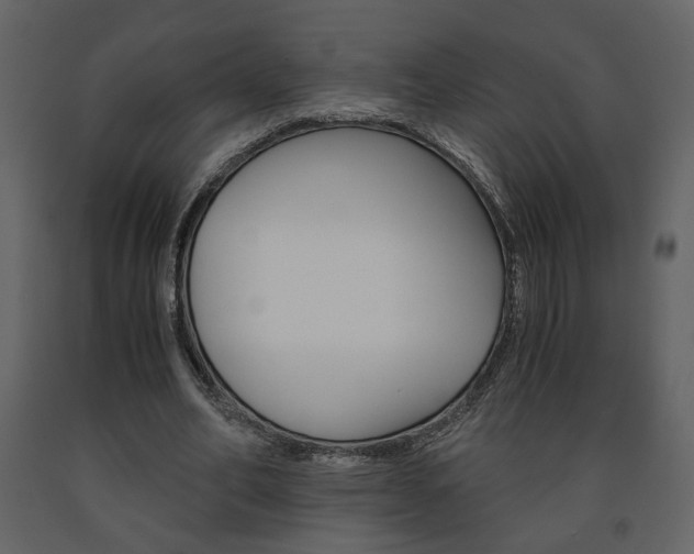 X0000091680582200708231110