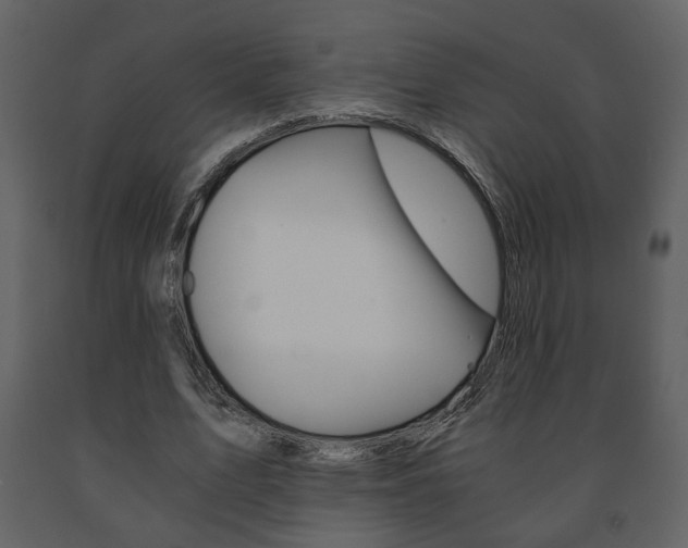 X0000091680583200708231110