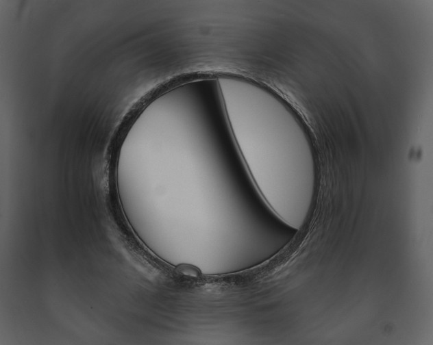 X0000091680584200708231110