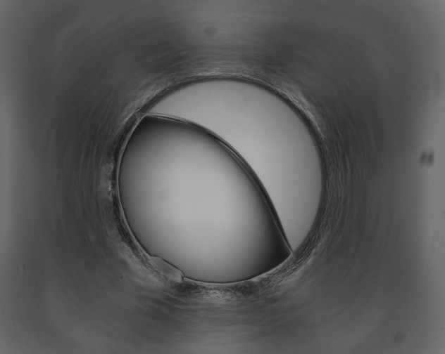 X0000091680585200708231110
