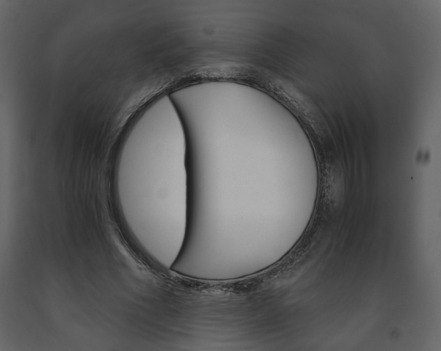 X0000091680586200708231110