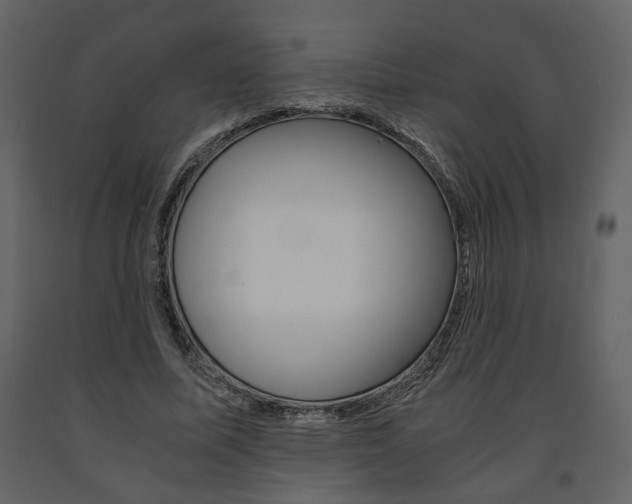 X0000091680587200708231110