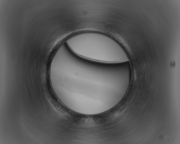 X0000091680588200708231110