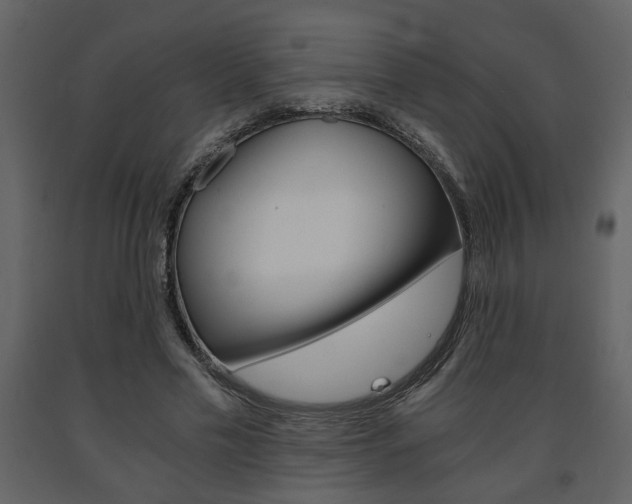 X0000091680589200708231110