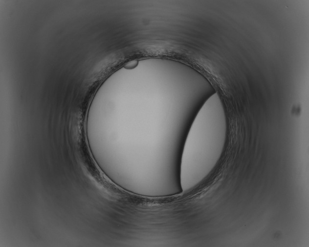 X0000091680590200708231110