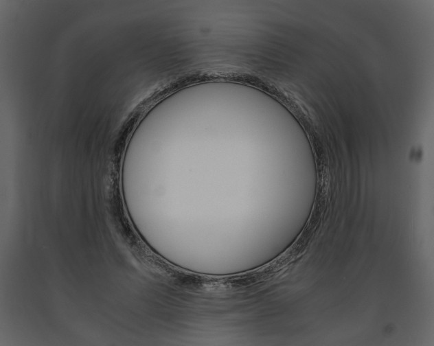 X0000091680591200708231110