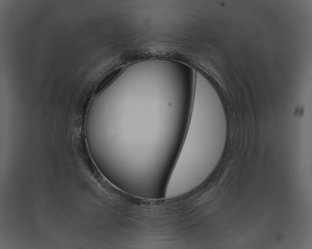 X0000091680593200708231110