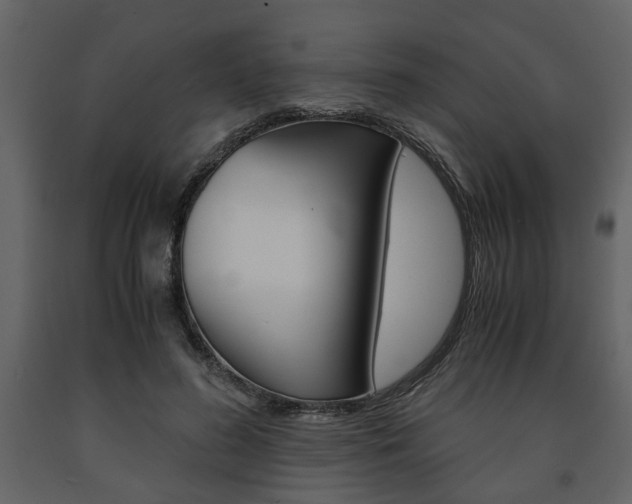 X0000091680596200708231110
