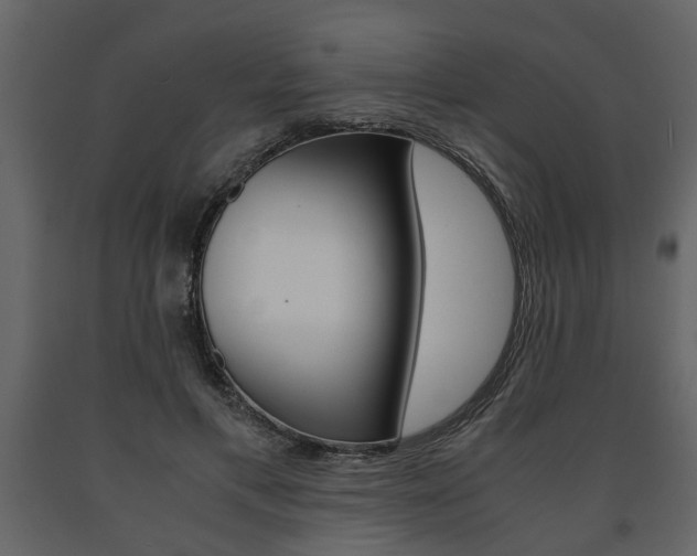 X0000091680597200708231110