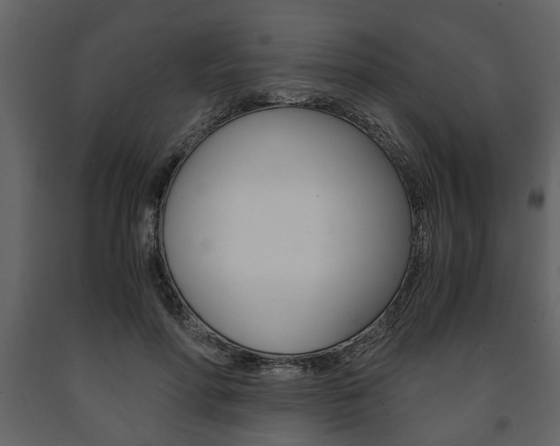 X0000091680598200708231110