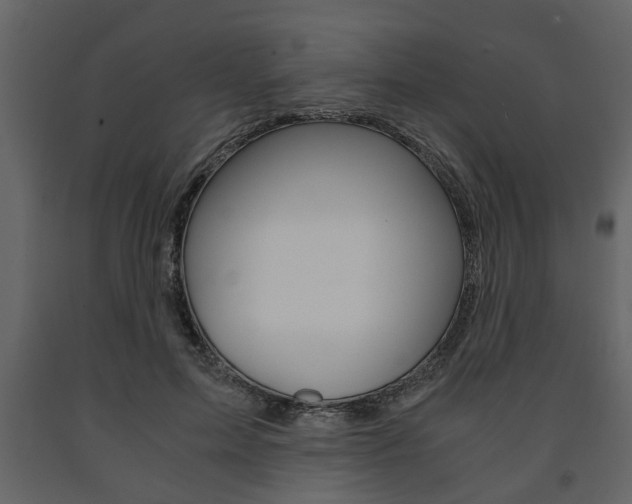 X0000091680599200708231110